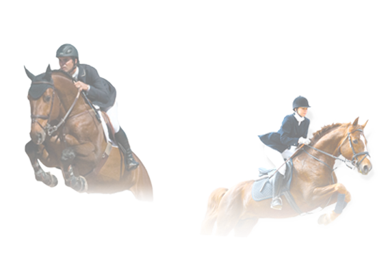 AWCMHORSEBOOK Betting