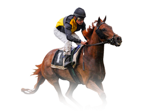 AWCMHORSEBOOK Betting